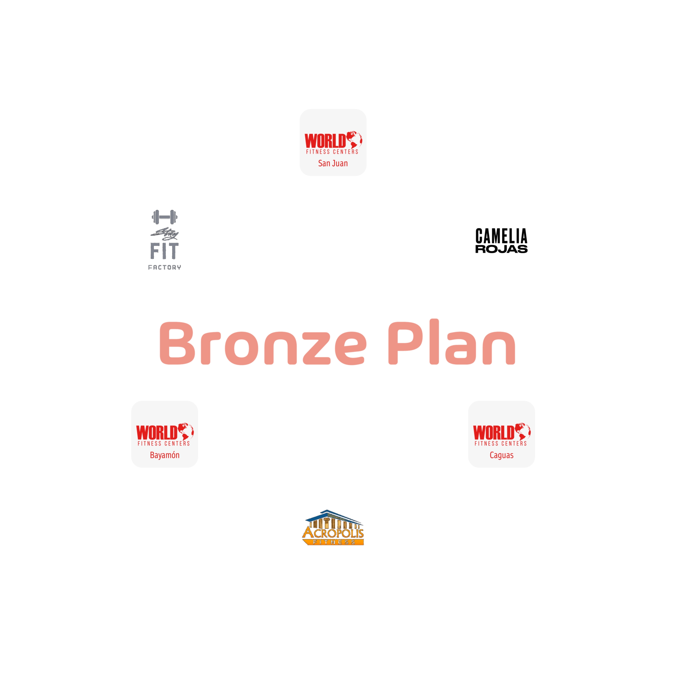 Fvz Bronze Plan